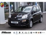 Fiat Panda Hybrid 1.0 GSE NEUES MODELL 2024 CITY TEMP - Fiat Panda: 2.1