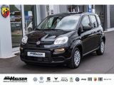 Fiat Panda Hybrid 1.0 GSE NEUES MODELL 2024 CITY TEMP - mit Benzin-Antrieb: Kleinwagen, 1.0