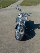 Harley-Davidson VRSCA V- Rod  - HARLEY-DAVIDSON WEIß