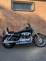 Harley-Davidson Sportster 1200 Custom - HARLEY-DAVIDSON 2006 SPORTSTER 1200