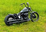 Harley-Davidson Softail Custom FXSTC - HARLEY-DAVIDSON SOFTAIL CUSTOM