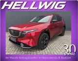 Mazda CX-5 2.5l (141PS) Homura Panodach Leder Schwarz 