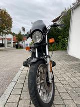 BMW R65 - BMW 1981 R65