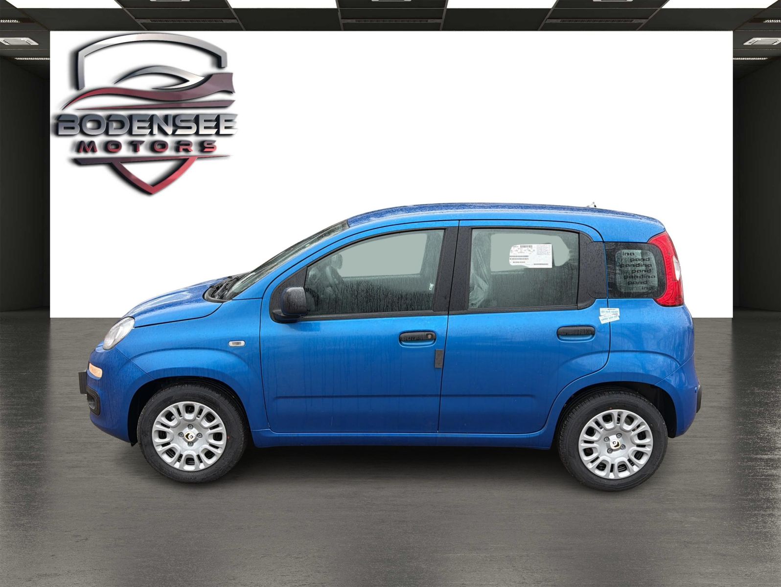 Fahrzeugabbildung Fiat Panda Pandina Icon