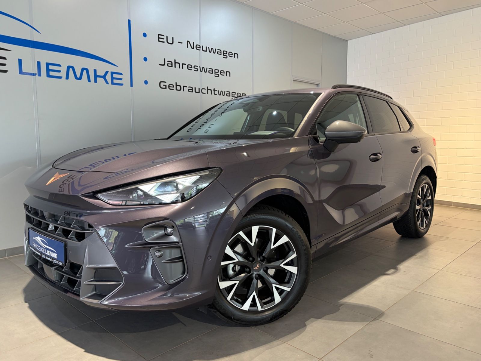 Cupra Terramar - 1