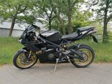 Triumph Daytona 675 D67LC - TRIUMPH 675 DAYTONA