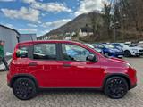 Fiat Panda Pandina Cross Tempomat PDC hinten Bluetoot - Fiat Panda: Pandina