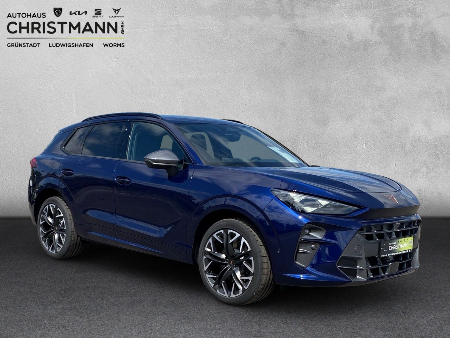 Fahrzeugabbildung CUPRA Terramar 2.0 4Drive VZ*HUD*Navi*Cam*Matrix*