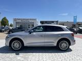 Audi Q5 50 TFSI e quattro S-Line (AHK+Panorama+Leder) - silberne Audi Q5