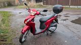 Honda Vision 110 - Honda Motorräder in Chemnitz