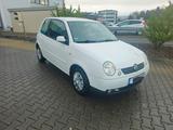 Volkswagen vw Lupo 1.0 Hu 01.2027 - Volkswagen Lupo: 1.2