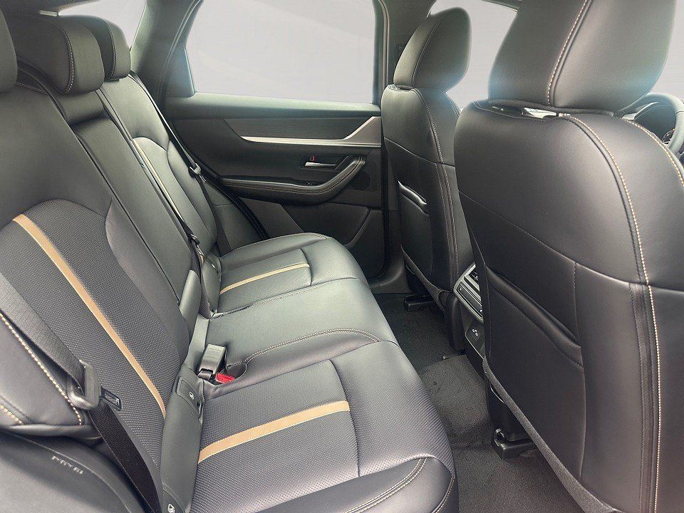 Fahrzeugabbildung Mazda CX-60 3.3d 254PS AWD Homura PANO BLOP