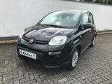 Fiat Panda MY24 1.0 GSE Hybrid Klimaanlage - Fiat Panda Gebrauchtwagen in Aachen