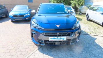 Cupra Terramar - 2