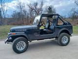 Jeep CJ - Jeep CJ Gebrauchtwagen