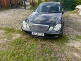 Mercedes-Benz 220 cdi Elegance  - Mercedes-Benz 220 mit Diesel-Antrieb: Limousine, Schaltgetriebe