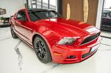 Ford Mustang 3,7 V6 LEDER XENON ALU - gebrauchte Ford Mustang aus dem Jahr 2013