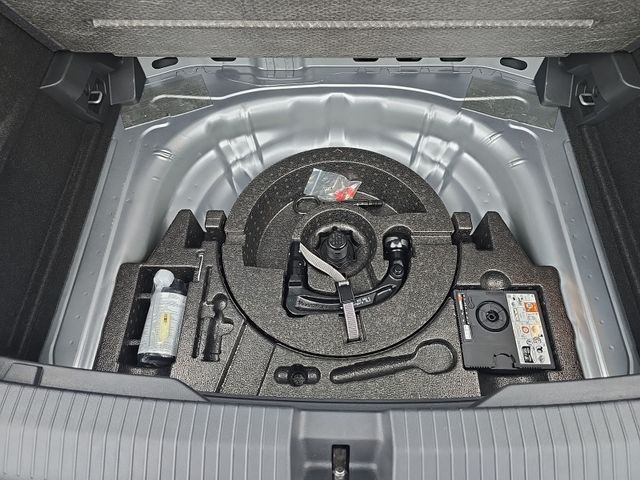 T-Roc Life 1.5 l TSI GOAL AHK*super Ausstattung