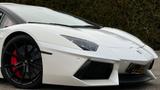 Lamborghini Aventador LP 700-4 Roadster-Lift-Pirelli Edition - Lamborghini: Cabrio