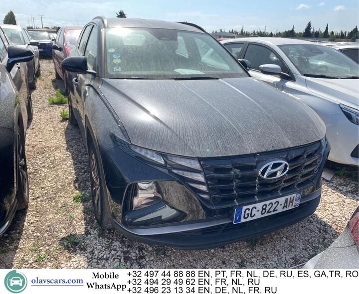 Hyundai Tucson 1.6 CRDI 48V Aut. Navi Camera Klima PDC imagem 2