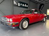 Jaguar XJ40 - Jaguar XJ40 Gebrauchtwagen