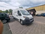 Peugeot Boxer Kasten 335 L3H2 Premium BlueHDi 130 - Peugeot Boxer in Frankfurt (Main)