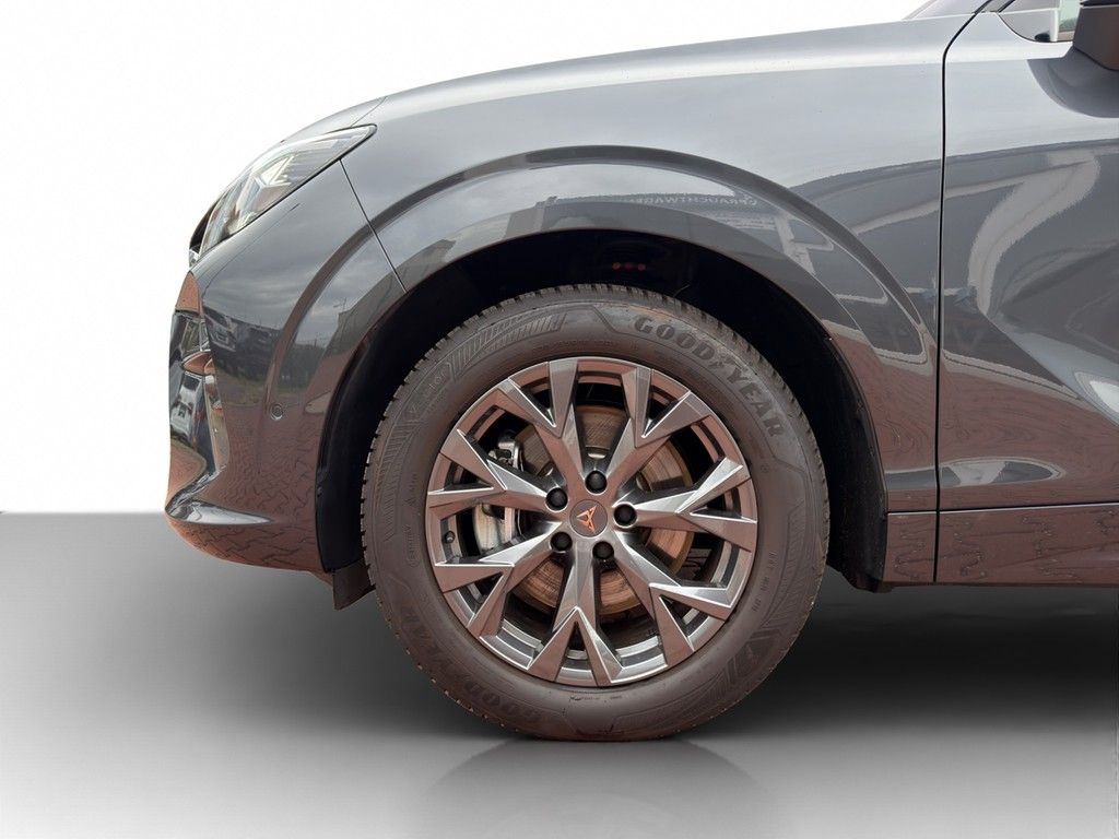 Cupra Terramar - Bild 23
