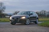 Audi A3 1.6 Sportback |8-fach berieft|Klima|Tüv Neu  - Audi A3 mit Benzin-Antrieb: 1.6