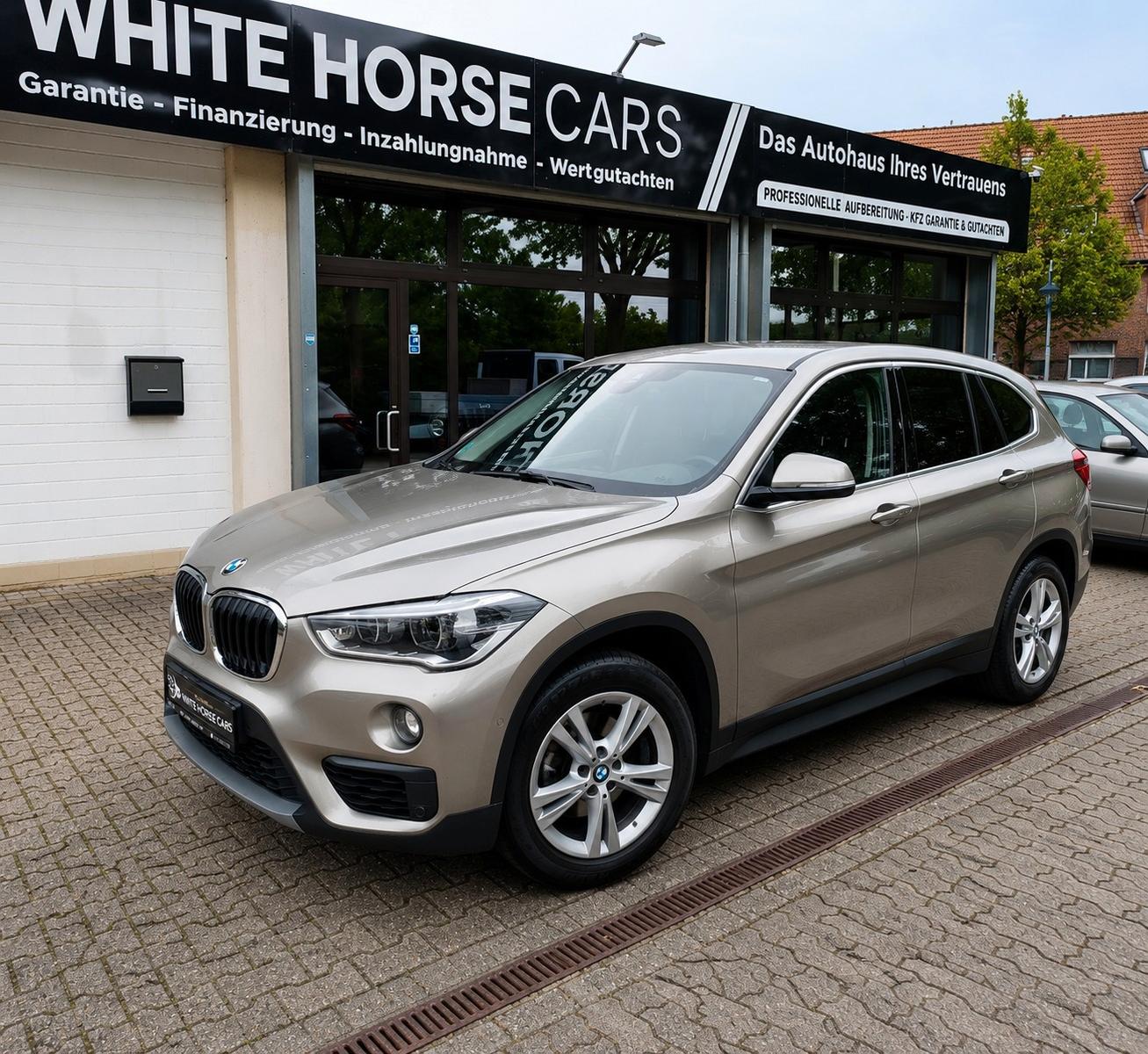 BMW X1 sDrive 18d Advantage NAVI LED SHEFT AHK KLIMA