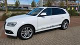 Audi sehr gepflegter Audi SQ5 - Audi SQ5 in Karlsruhe