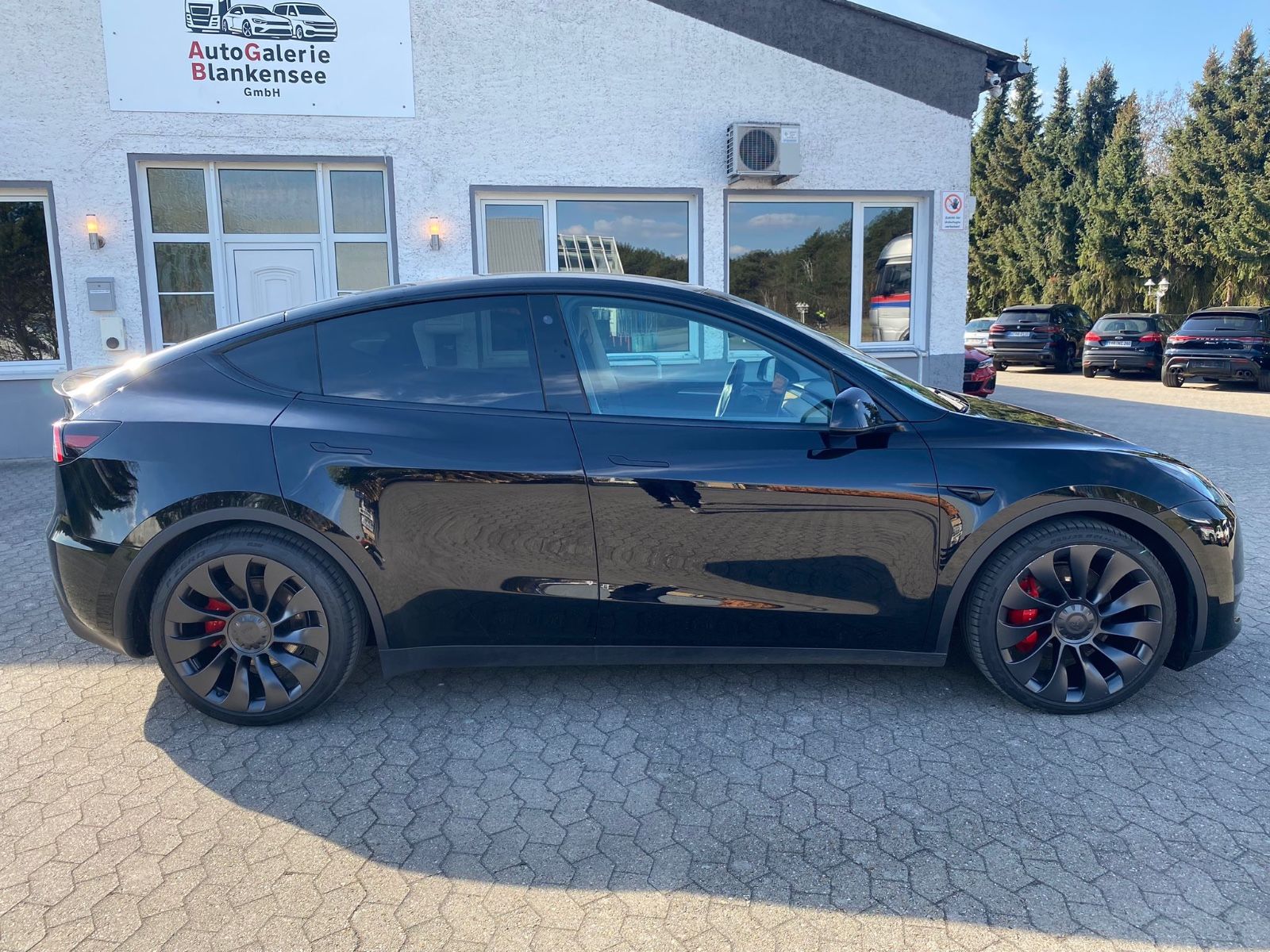 Tesla Model Y Performance Dual Motor AWD foto 8