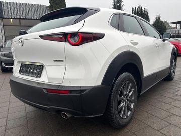 Mazda CX-30 Basis 2WD