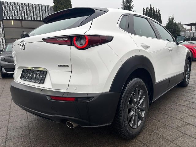 Mazda CX-30 Basis 2WD