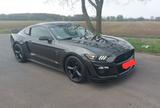Ford Mustang 3.7 USA mit Shelby Optik - : Sportwagen, Usa