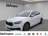 Skoda Fabia Tour NAv Apps DAB+ RFK PDCvh LED SHZ - Skoda Fabia: Tour