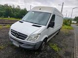 Mercedes-Benz Mercedes Sprinter 906  313 Hoch /Lang Maxi - Mercedes-Benz Sprinter: 313 Maxi