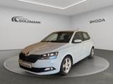 Skoda Fabia III 1,0l MPI Cool Plus 55 kW 5-Gang - Skoda Fabia: Iii