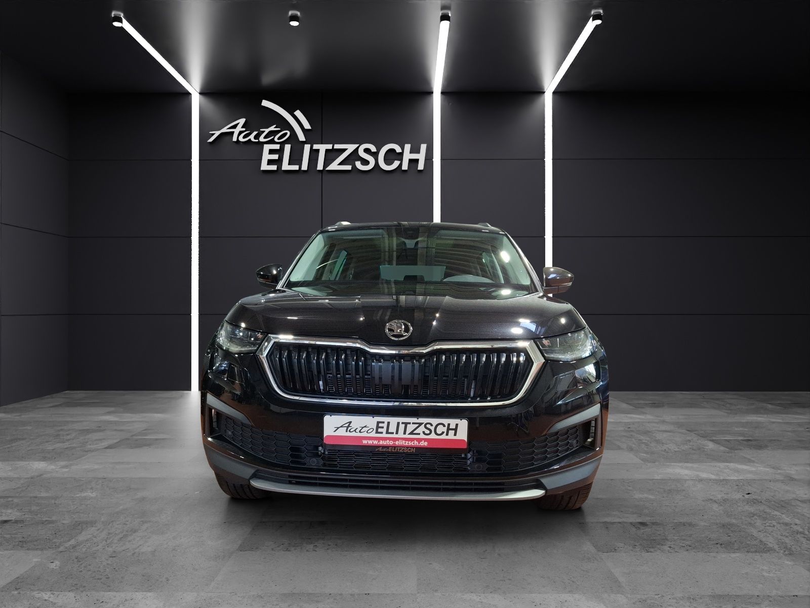 Fahrzeugabbildung SKODA Kodiaq TSI Tour DSG 4x4 Standhzg. Matrix AHK Nav