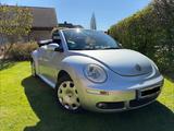 Volkswagen New Beetle 1.6 Cabriolet - - Volkswagen New Beetle: Cabrio