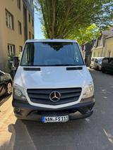 Mercedes-Benz Sprinter 313 CDI. Kastenwagen  - Angebote