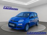 Fiat Panda Mild Hybrid EU6d MY25 1.0 Klima PDC DAB Sp - Fiat Panda aus 2025