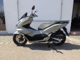Honda PCX - Offers matching your search criteria