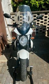 Suzuki SFV 650 Gladius - SUZUKI 650