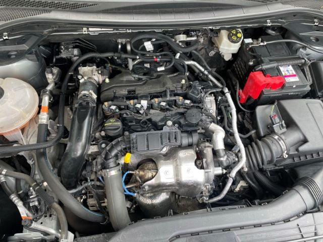 Fahrzeugabbildung Ford Kuga 1.5 EcoBlue Cool&Connect Autom. AHK, Navi,