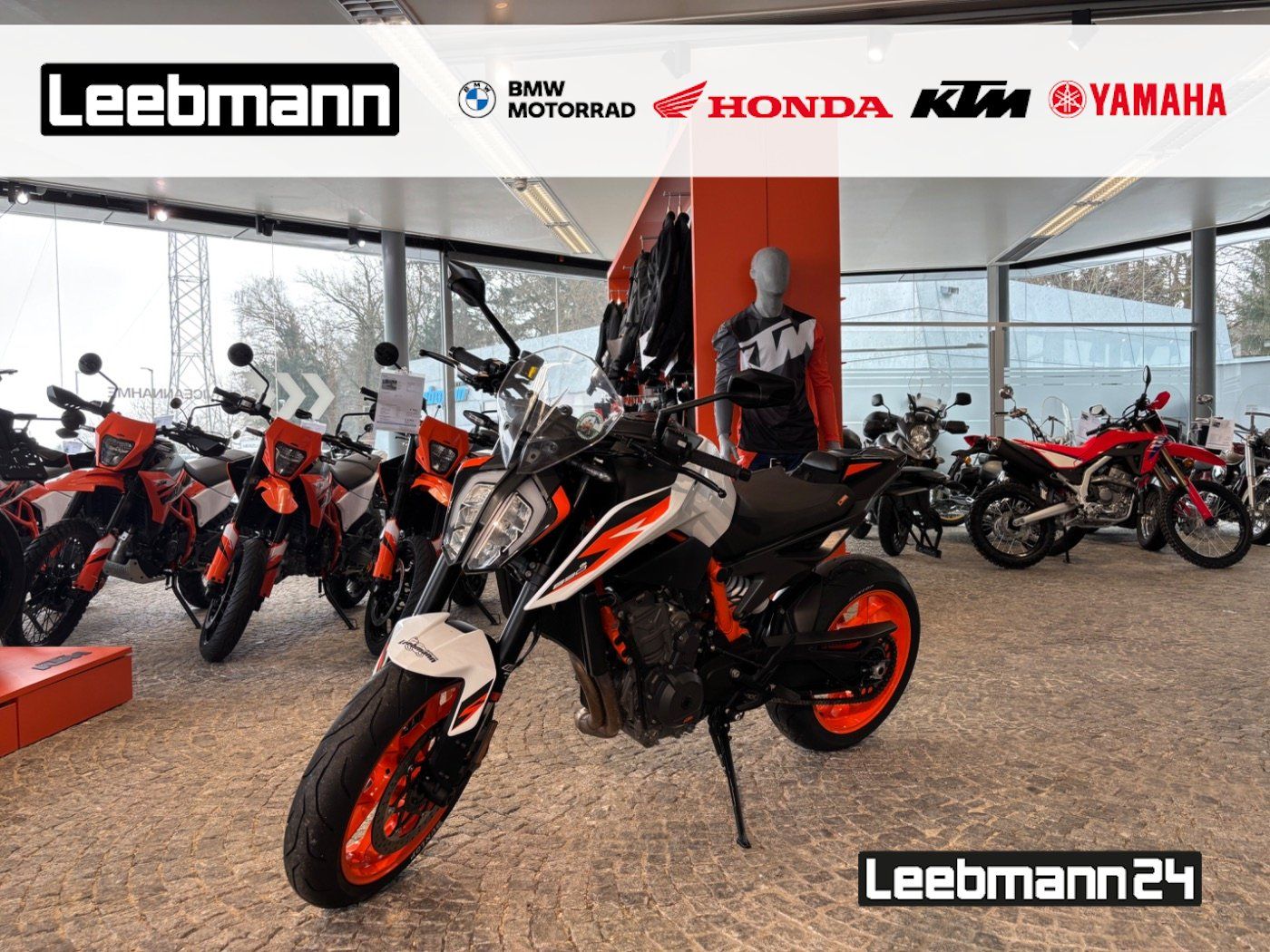Fahrzeugabbildung KTM 890 Duke R TechPack