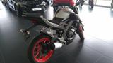 Yamaha MT-125 Ice Fluo - YAMAHA MT125