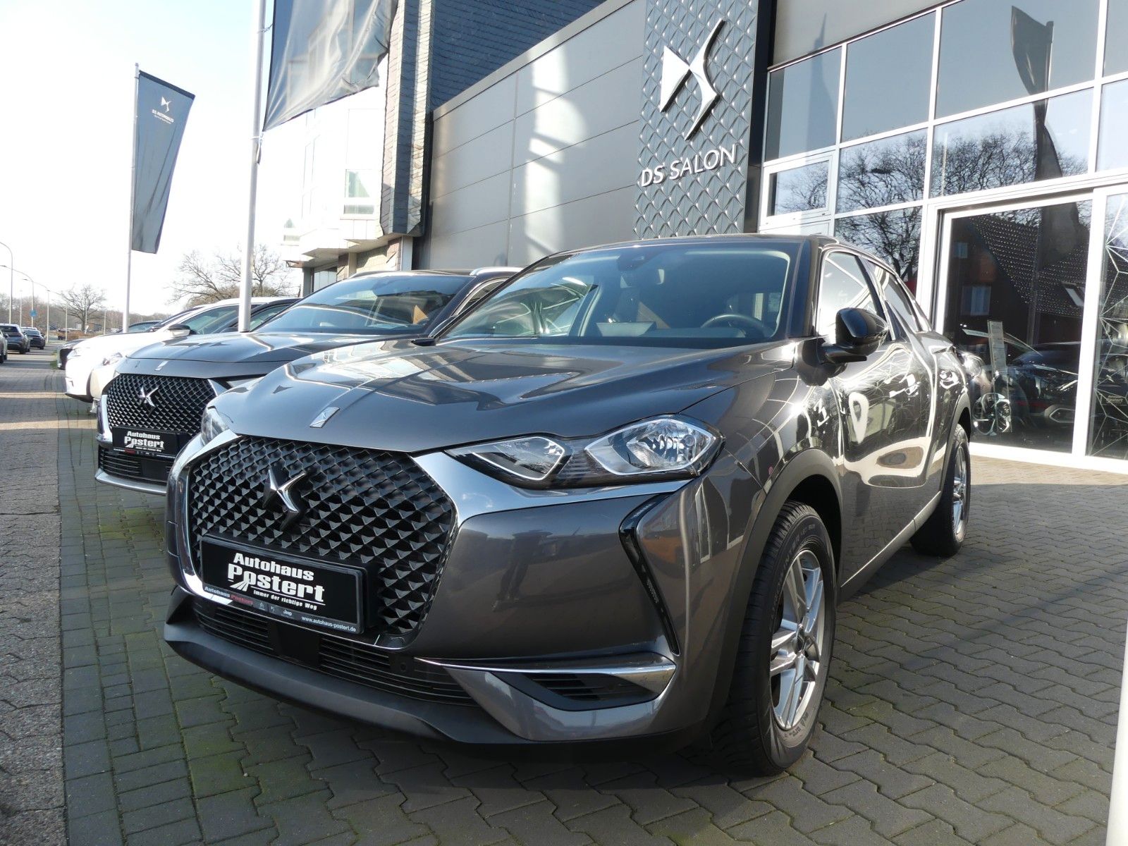 DS DS3
