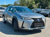 Lexus UX250h Hybrid Luxury Line - Lexus aus 2019