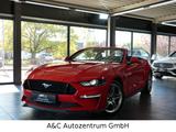 Ford Mustang 5.0 GT Cabrio - Ford Mustang Gebrauchtwagen