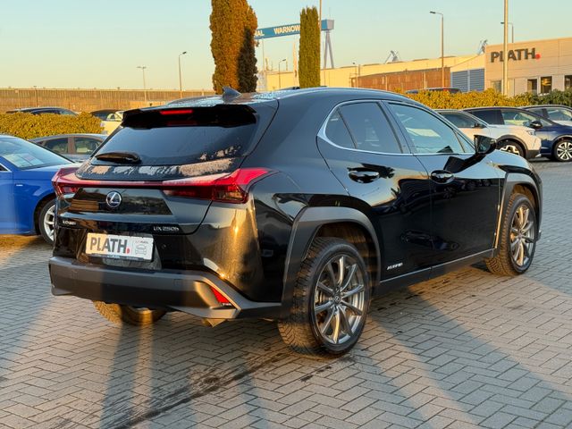 Lexus UX 250 h Launch Edition